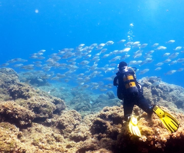 Rhodes: Diving Adventure for Beginners and Experts