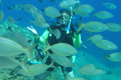 Rhodes : aventure de plongée sous-marine pour plongeurs qualifiés