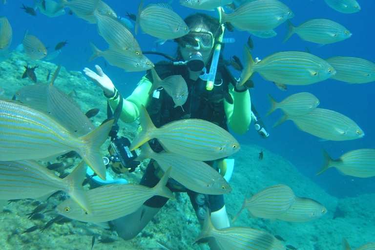 Rhodes: Scuba Diving Adventure for Qualified Divers