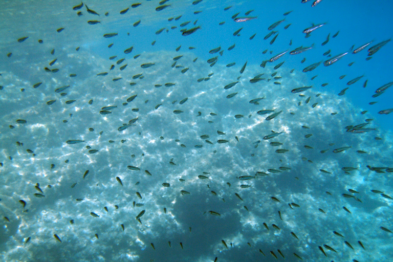Rhodes: Waterhoppers Snorkel Adventure Guided Snorkeling