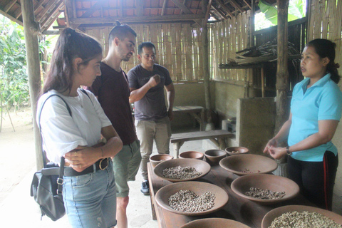 Ubud: Downhill Bike Tour from Kintamani