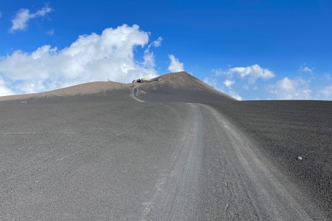 Katania: trekking z przewodnikiem po północnej stronie Etny i wycieczka 4x4