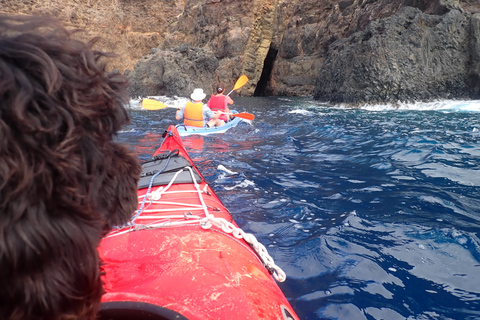 Porto Santo: Kayak Tour from Ponta Calheta Zimbralinho Beach Kayak Tour