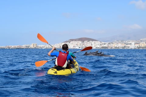Tenerife: Kayaking and Snorkeling with Turtles