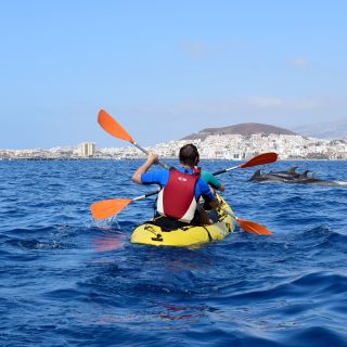 Tenerife : kayak et snorkeling avec des tortues