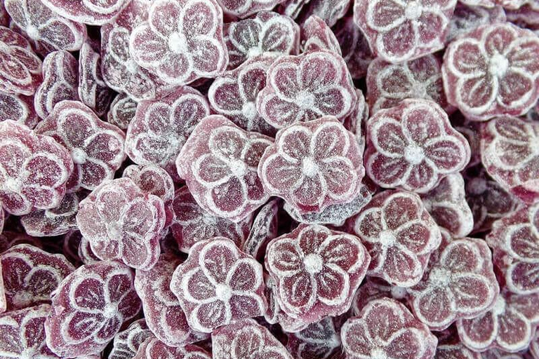Toulouse: The Secrets of Violets and Pastel – Private Tour