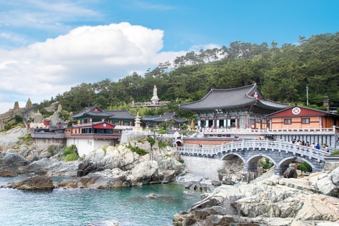 Pusan: najważniejsze atrakcje miasta z Blueline Park Beach TrainWycieczka grupowa z dworca KTX Busan