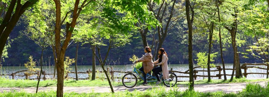 Namiseom, Petite France, Garden of Morning Calm & Rail Bike