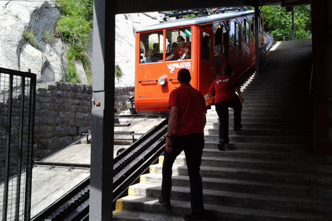 Mount Pilatus with Lake Cruise Private Tour from Basel Pilatus Trip and Lake Cruise from Basel