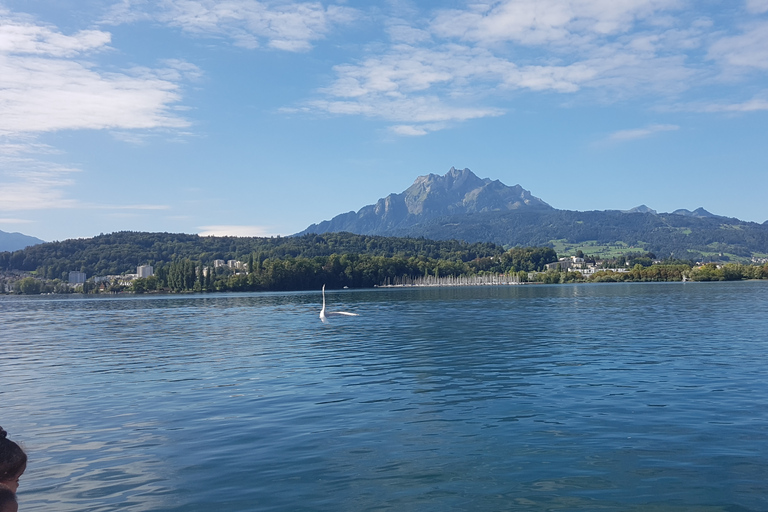 Tour privé du Mont Pilate avec croisière sur le lac au départ de BâleVoyage sur le Pilate et croisière sur le lac au départ de Bâle