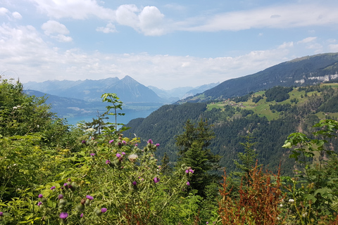 Interlaken Delight: Private City Tour &amp; Harder EscapeInterlaken: Private City Tour and Harder Mountain Visit