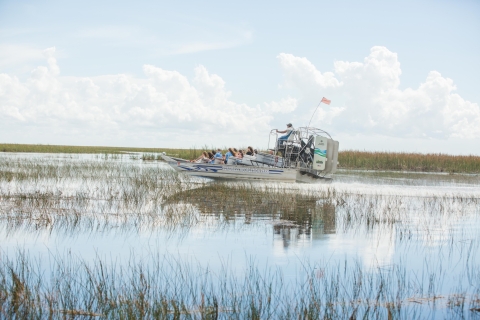 Everglades: tour en hidrodeslizador y ticket para exposición