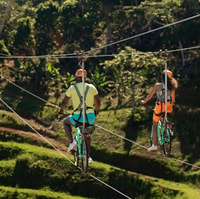 Puerto Rico, Toro Verde Adventure Park Zipline Bike Ticket - Housity