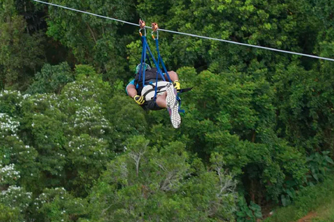 Porto Rico: expérience de tyrolienne au parc d'aventure Toro Verde