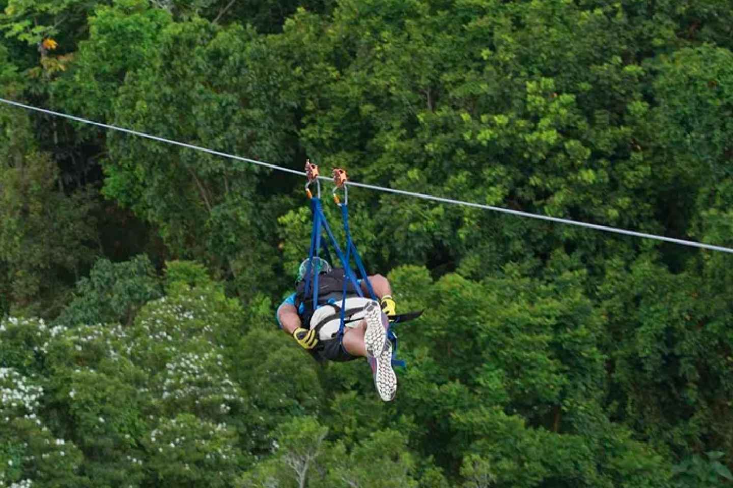 Puerto Rico: Toro Verde Adventure Park Zip Line Erlebnis
