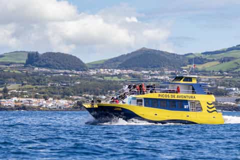 São Miguel Azores: Half-Day Whale Watching Trip