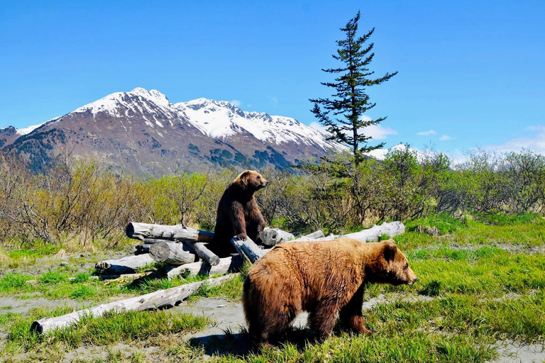 Centre de conservation de la faune de l'Alaska : billet d'entrée
