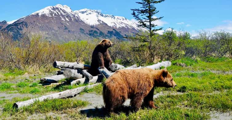 L'Alaska en train, l'aventure d'une vie