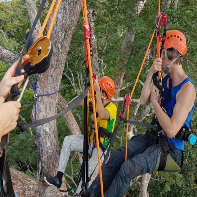 Amazon Jungle 3 Hour Tree Climbing Activity Getyourguide