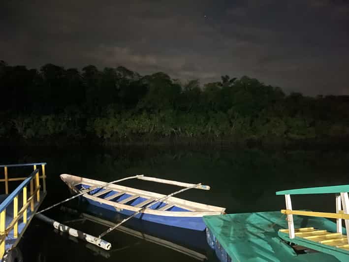 Puerto Princesa avistamiento de luciérnagas en la jungla, paseo en