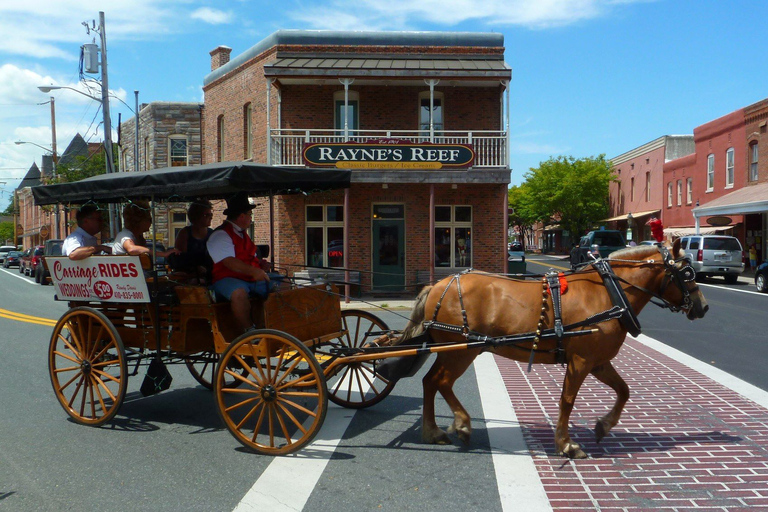 Berlin, Maryland : visite gastronomique historique à pied avec dégustations