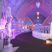 Fairbanks: Aurora Ice Museum Ticket und Führung
