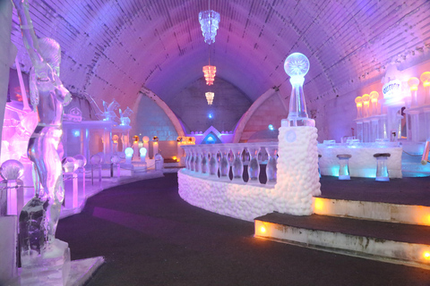 Fairbanks: Aurora Ice Museum Ticket and Guided Tour Tour without Appletini