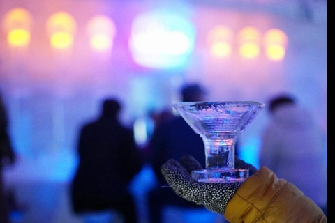 Fairbanks: Aurora Ice Museum Ticket and Guided Tour Tour without Appletini