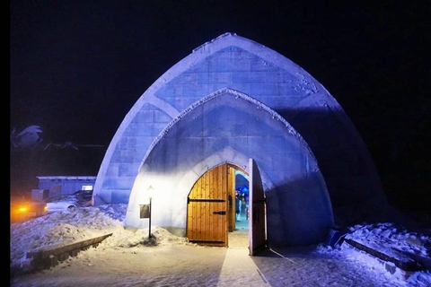 Fairbanks: Aurora Ice Museum Ticket and Guided Tour Tour without Appletini