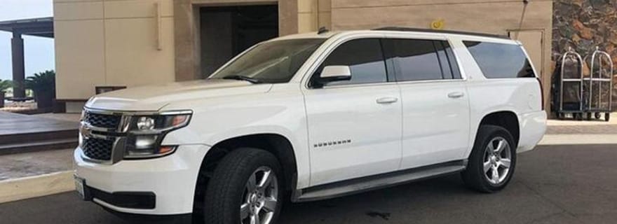 Aéroport de San Diego : Transfert aller simple vers le centre-ville de San Diego