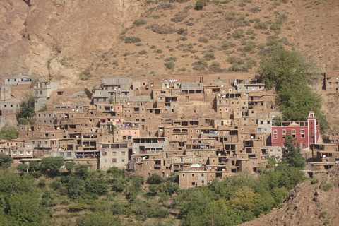 Marrakesz: jednodniowa wycieczka do gór Atlas i wiosek berberyjskich