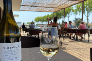 Cazouls-lès-Béziers: Wine and oyster tasting
