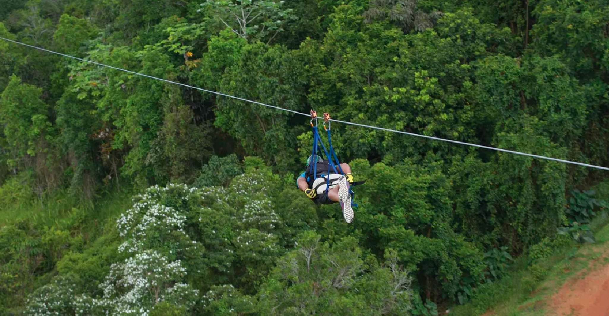 Puerto Rico, The Beast Zipline at Toro Verde Adventure Park - Housity