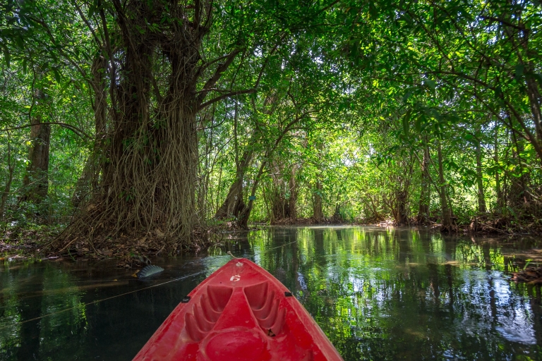 Krabi: excursion d'une journée en kayak et à cheval dans le lagon de cristal
