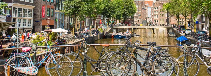 Amsterdam: City Highlights Walking Tour