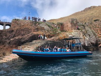 Peniche, Berlenga Island and Cave Tour - Housity
