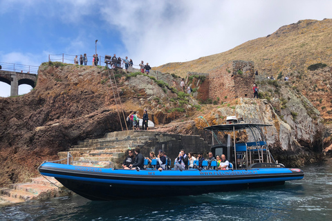 Peniche: Ilha da Berlenga e passeio às cavernasExcursão pelas Cavernas