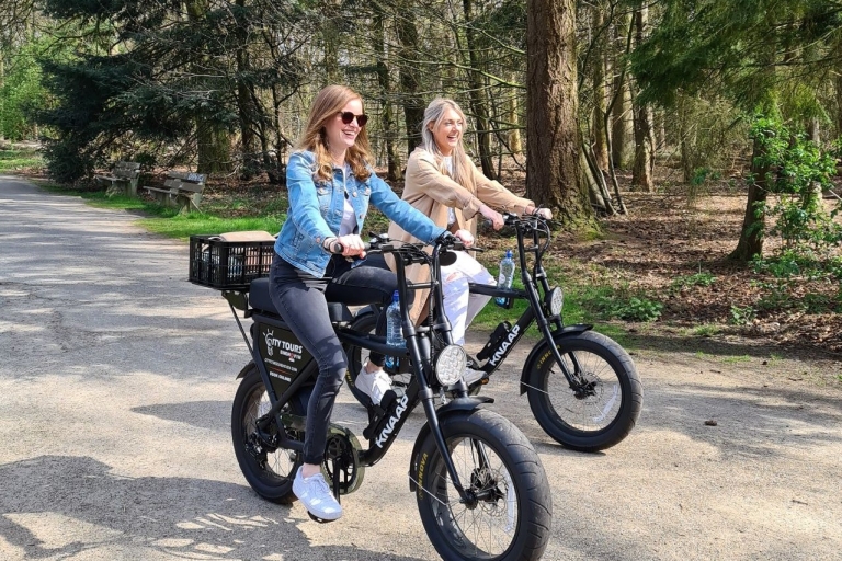Eindhoven: Ganztägiger E-Fatbike-Verleih inklusive RouteE-Fatbike Tour