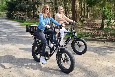 Eindhoven: Full Day E-Fatbike Rental including route