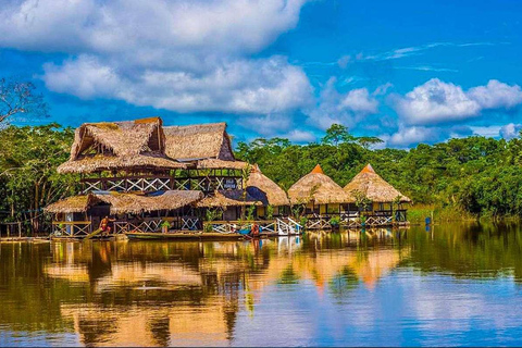 Iquitos: 2 Tage im Amazonas, dem Naturwunder der Welt