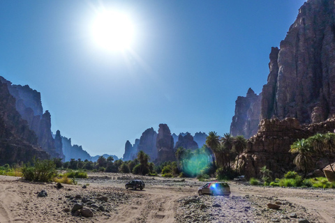 Van AlUla: Wadi Dissah Canyon Tour met lunch en transfer