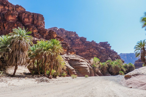 De AlUla: Excursão ao cânion Wadi Dissah com almoço e trasladoDe AlUla: Wadi Dissah Canyon Tour com almoço e traslado