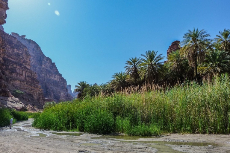 Z AlUla: wycieczka do kanionu Wadi Dissah z lunchem i transferem