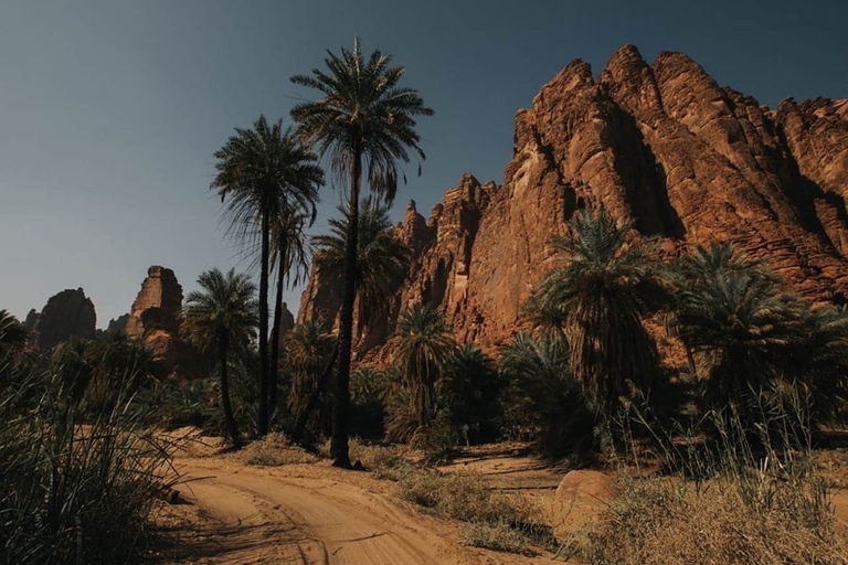 Da AlUla: Tour del Canyon di Wadi Dissah con pranzo e trasferimentoDa AlUla: tour del Wadi Dissah Canyon con pranzo e trasferimento