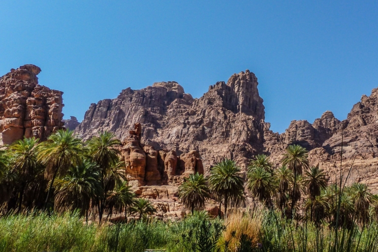 Van AlUla: Wadi Dissah Canyon Tour met lunch en transfer