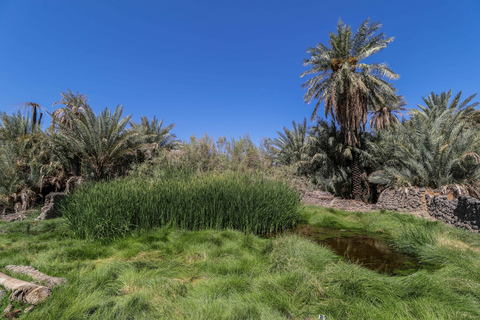 Van AlUla: Harrat Khaybar-tour met lunch en transfer