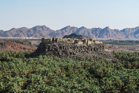 Van AlUla: Harrat Khaybar-tour met lunch en transfer