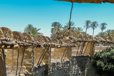 From AlUla: Historic Tayma Day Tour with Lunch and Transfer