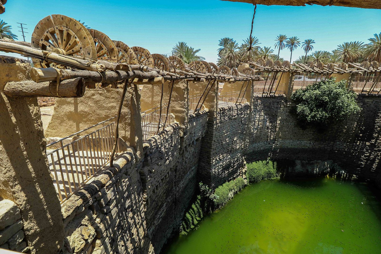 Desde AlUla: recorrido histórico de un día por Tayma con almuerzo y traslado