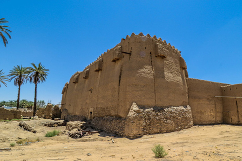 Van AlUla: historische Tayma-dagtour met lunch en transfer